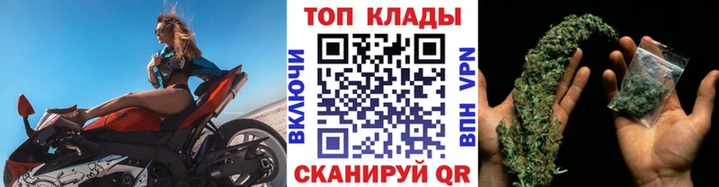 Конопля Новороссийск
