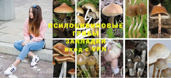спайс Алексеевка